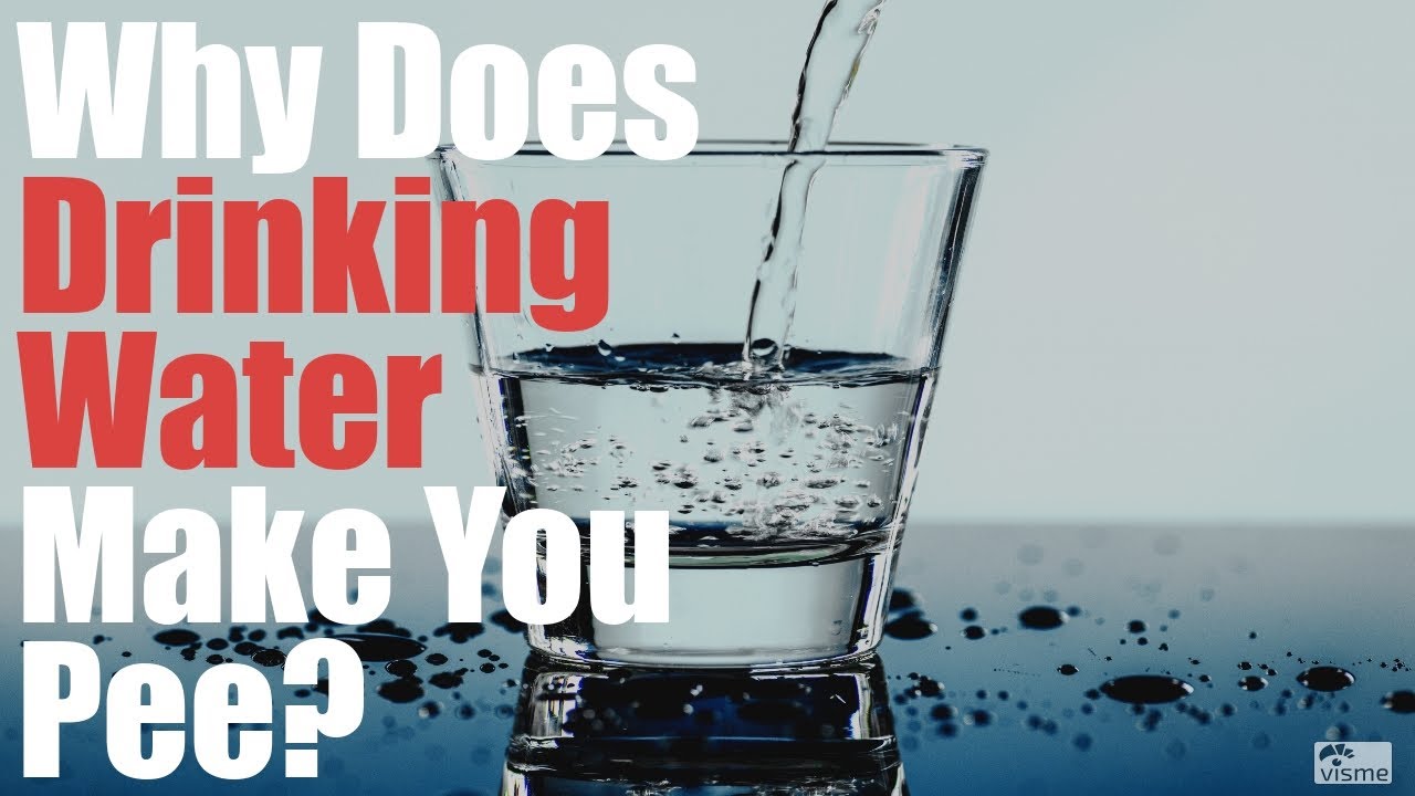 why-does-drinking-water-make-you-pee-know-the-facts-youtube