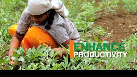 Smart Agriculture - Episode 9 - Pulses and Oilseeds - Episodic Promo