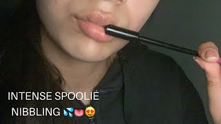 ASMR INTENSE Spoolie Nibbling/Eating 👅😍