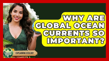 Why Are Global Ocean Currents So Important? - Explaining Ecology