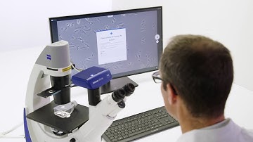 How to Automatically Measure Cell Confluency with ZEISS Labscope AI
