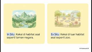 Sains Tingkatan 2 Bab 1 - Biodiversiti