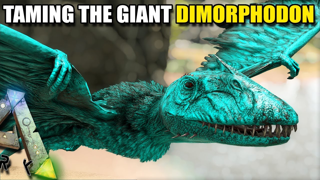 ark survival evolved mega dimorphodon saddle