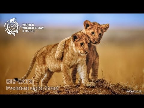 World Wildlife Day 2018