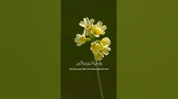 سورة الفتح | هُوَ الَّذِي أَنزَلَ السَّكِينَةَ فِي قُلُوبِ الْمُؤْمِنِينَ