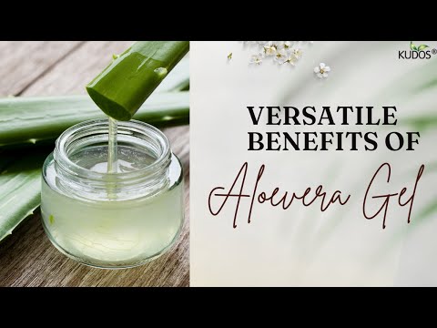 Unlock the Secret to Winter Wellness with Kudos Ayurveda: Aloe Vera Gel Benefits Revealed