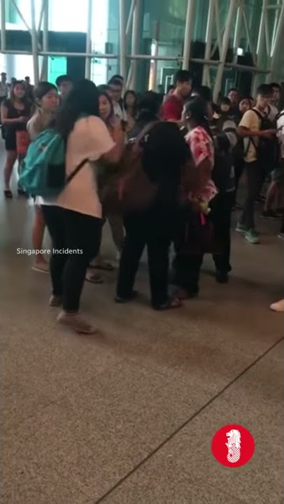 Cut queue still can shout racist remarks at Singapore customs, Auntie you win ah