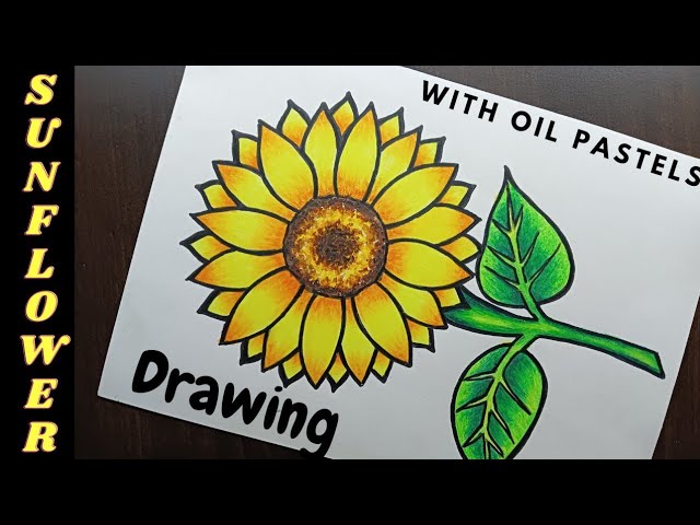 How to Draw a Sunflower : Step by Step for Beginners - JeyRam Drawing  Tutorials