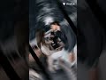 ١٩ يوليو ٢٠٢٥ ١٩ يوليو ٢٠٢٥