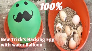 How to Make Desi homemade Incubator #incubator #incubertor_love #incubater by Mini zoo3499 177 views 1 month ago 6 minutes, 34 seconds