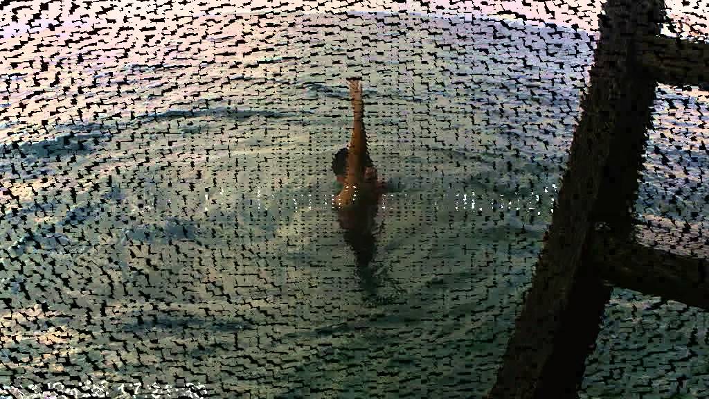 Office mates summer 2015