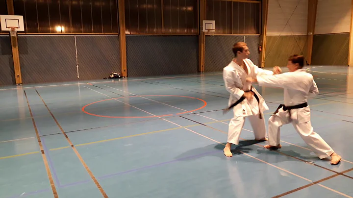 Demostration self dfense avec Sensei bruce Fevzi p...