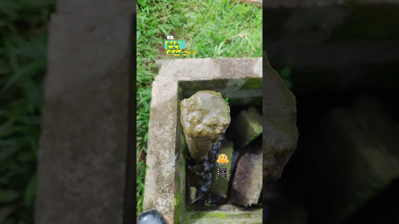 LAKUKAN HAL INI !! AGAR LELEMU SEHAT😲 