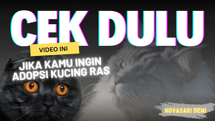 Video 9271831: kucing maine coon