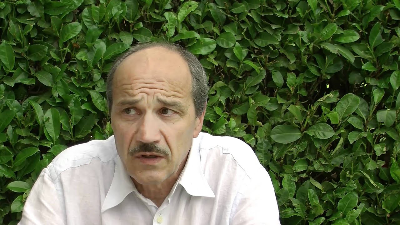 Diego Cason, acqua: bene comune pregiato e scarso 1/5 - YouTube