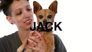 Adopt Jack at NKLA