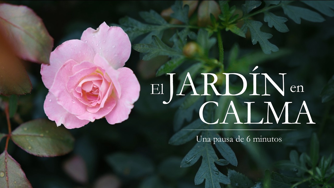 EL JARDÍN EN CALMA - Una pausa de 6 minutos