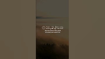سورة المسد | ياسر الدوسري