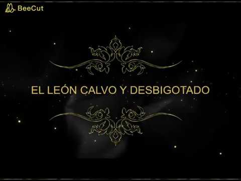 El león calvo - YouTube