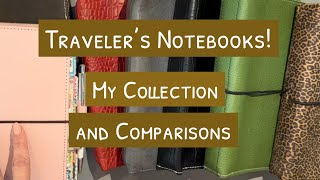 Planner Perfect Traveler’s Notebooks Up Close