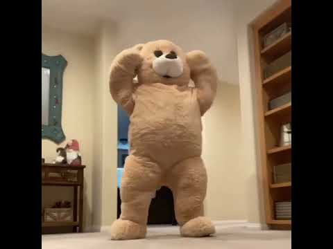 Funny Twerking Teddy Bear Dance