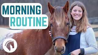 Winter Morning Routine of an Equestrian