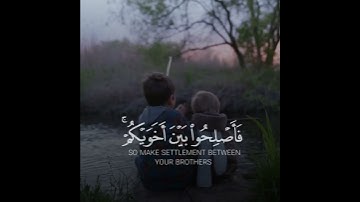 حالات واتس اب || انما المؤمنون اخوة | قران كريم