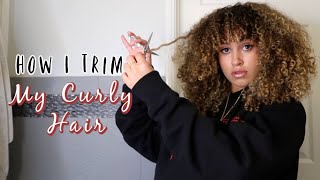 How to cut Curly hair/ Cutting my own hair | Tala Othman