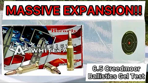 DEEP ENOUGH?! 6.5 Creedmoor Hornady American Whitetail Ammo Test