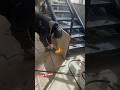 Covering metal stairs with wood.#reels #construction #foryou #carpinteria #stairs