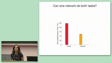 CCN 2019 GS-4.2: Why Are Face and Object Processing Segregated in the Human Brain?