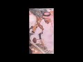 عيسى الاحسائي