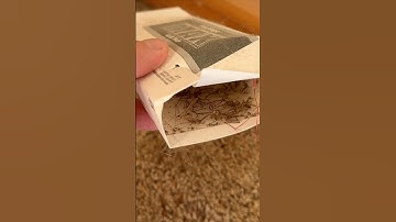 De beste manier om van bruine kluizenaarsspinnen af ​​te komen