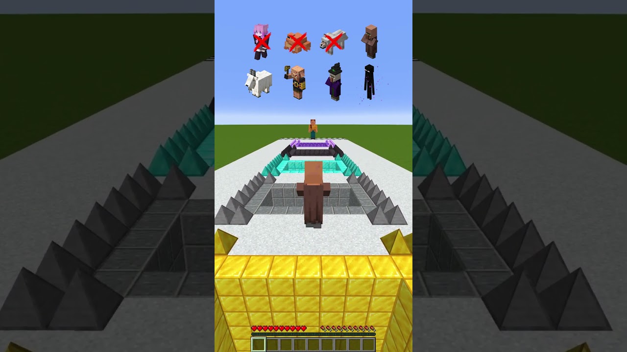 Minecraft – Cross the traps to find love!