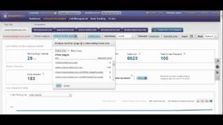 cognitiveSEO Review Backlink Analysis Software
