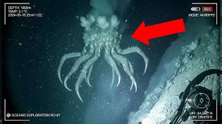 Cameras Deep in the Mariana Trench Recorded Something Moving in the Darkness