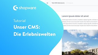 Formulare individuell gestalten (Shopware 6 Tutorial)
