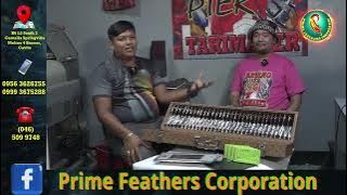 PRIME FEATHERS ENDORSERS: CARLO TARI MAKER AND BATANGPIER TARI MAKER