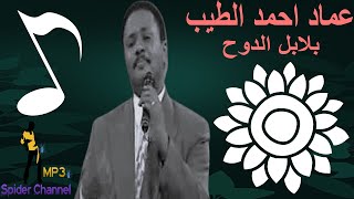 عماد احمد الطيب                      بلابل الدوح