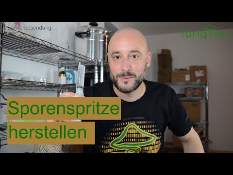 Video: Wie viele Sporen produzieren Pilze?