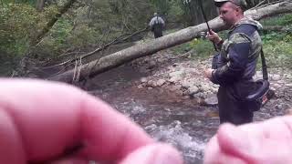 В таёжную речку за хариусом!!!