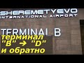 Аэропорт Шереметьево как добраться из терминала d в терминал b (б) межтерминальное метро в аэропорту