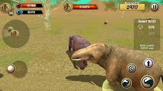 Wild Elephant Sim 3D Android Gameplay #4 screenshot 4