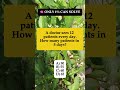Doctor Sees 12 Patients Daily – How Many in 5 Days?