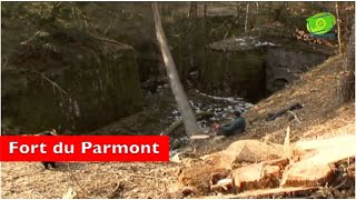 Fort du Parmont