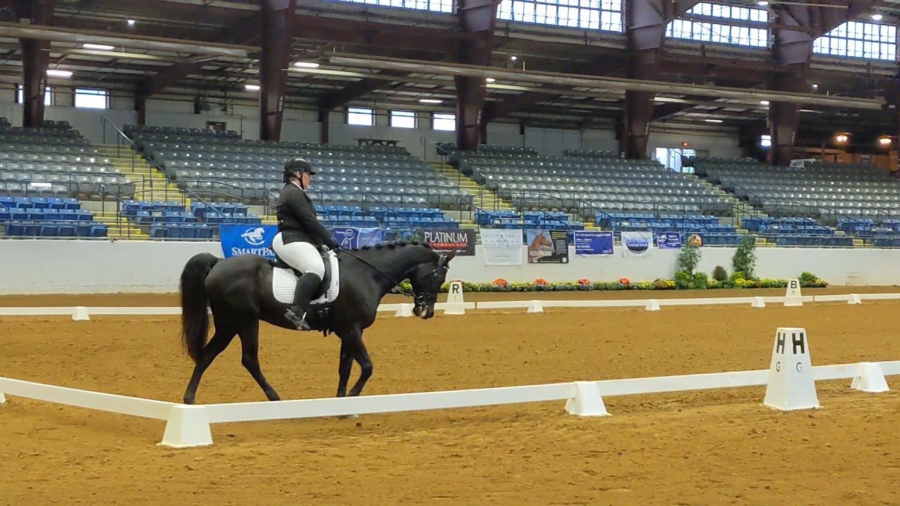 Kim Rodeo GAIGS 2021