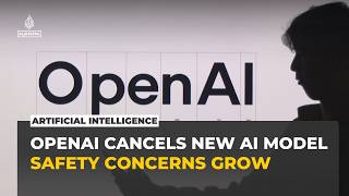 Full OpenAI cancels release of AI model GPT-6.1 Astra over safety concerns News