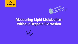 Lipid Metabolism - A Workflow Animation