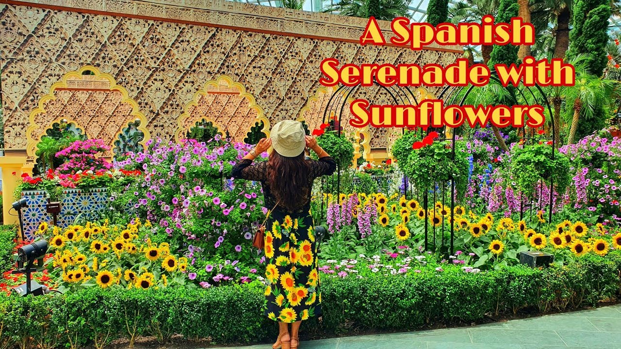 A SPANISH SERENADE WITH SUNFLOWERS 2022 - GARDENS BY THE BAY