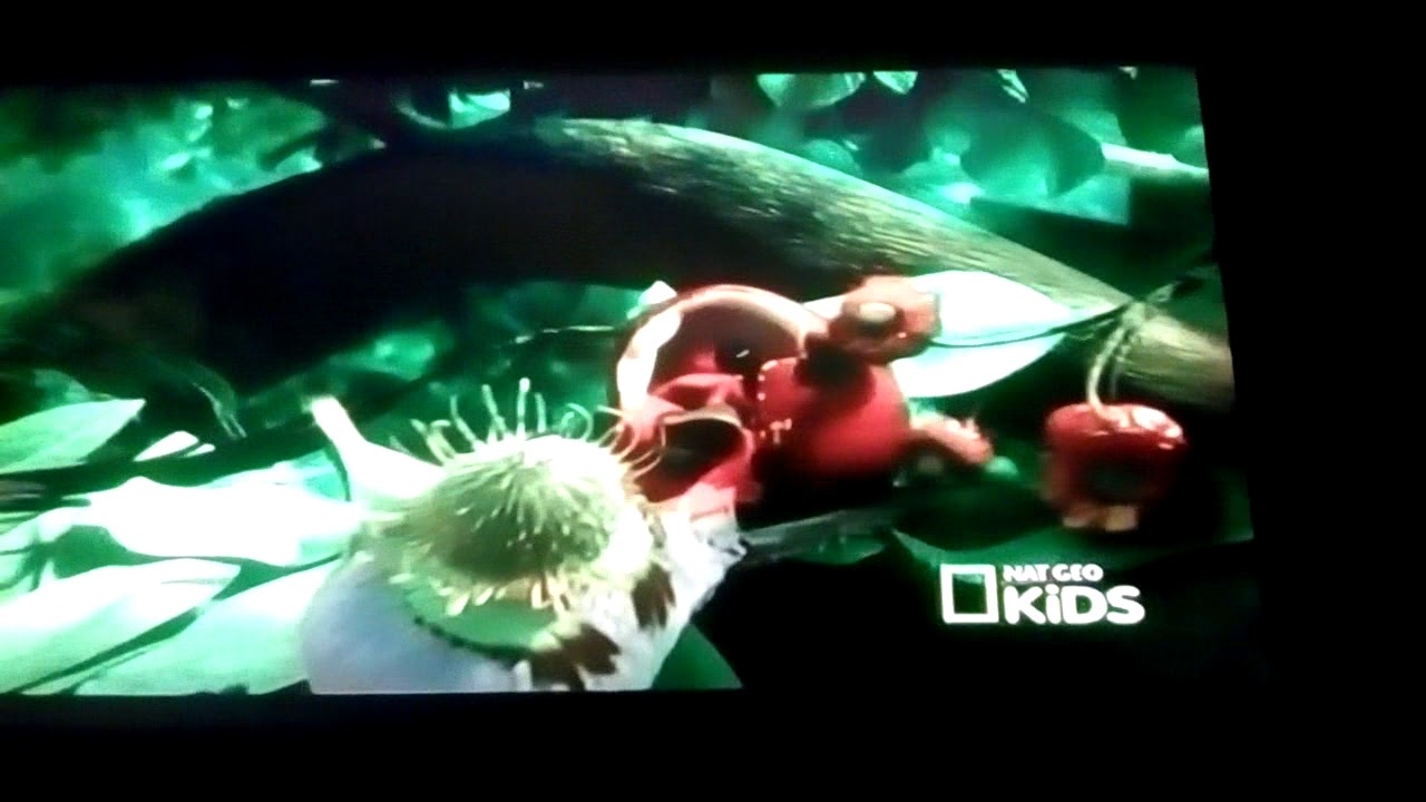 Río 2 escena de audiciones - YouTube